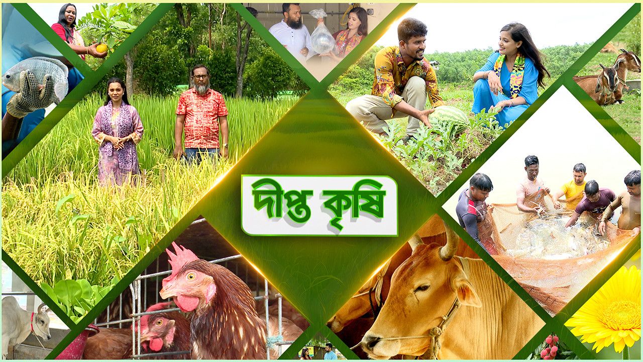 Deepto Krishi